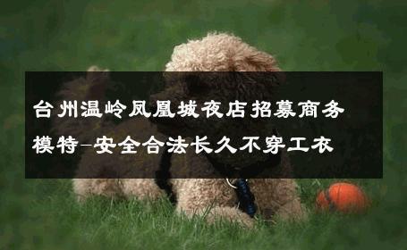 台州温岭凤凰城夜店招募商务模特-安全合法长久不穿工衣 