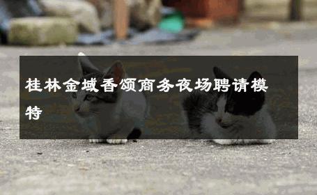 桂林金域香颂商务夜场聘请模特 