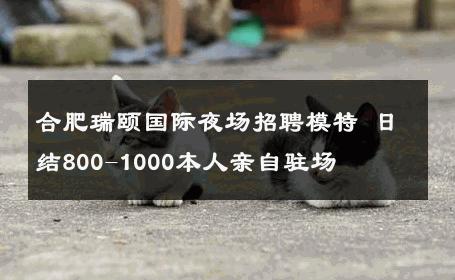 合肥瑞颐国际夜场招聘模特 日结800-1000本人亲自驻场 