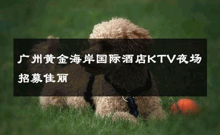 广州黄金海岸国际酒店KTV夜场招募佳丽 