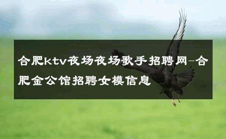 合肥ktv夜场夜场歌手招聘网-合肥金公馆招聘女模信息 
