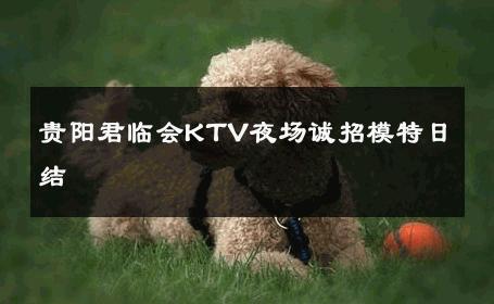 贵阳君临会KTV夜场诚招模特日结 