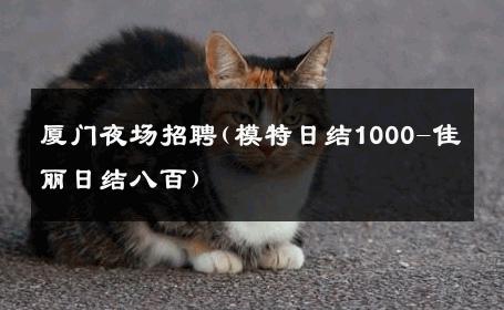 厦门夜场招聘(模特日结1000-佳丽日结八百) 