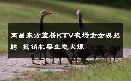 南昌东方蓝桥KTV夜场女女模招聘-报销机票生意火爆 