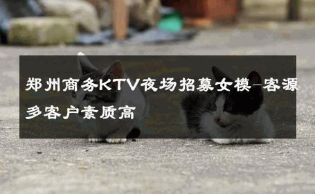 郑州商务KTV夜场招募女模-客源多客户素质高 