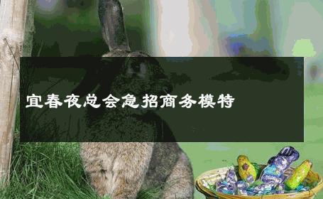 宜春夜总会急招商务模特 