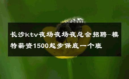 长沙ktv夜场夜场夜总会招聘-模特薪资1500起步保底一个班 