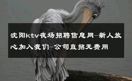 沈阳ktv夜场招聘信息网-新人放心加入我们-公司直招无费用 