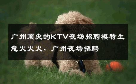 广州顶尖的KTV夜场招聘模特生意火火火，广州夜场招聘 