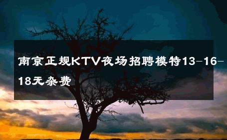 南京正规KTV夜场招聘模特13-16-18无杂费 