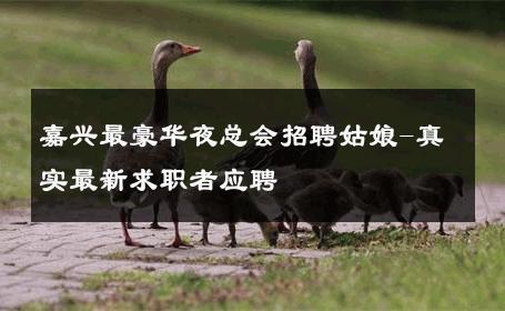 嘉兴最豪华夜总会招聘姑娘-真实最新求职者应聘 