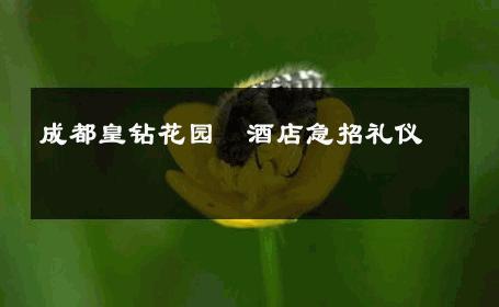 成都皇钻花园　酒店急招礼仪 