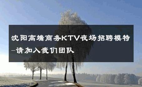 沈阳高端商务KTV夜场招聘模特-请加入我们团队 