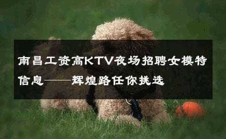 南昌工资高KTV夜场招聘女模特信息——辉煌路任你挑选 
