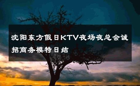 沈阳东方假日KTV夜场夜总会诚招商务模特日结 
