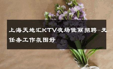 上海天地汇KTV夜场佳丽招聘-无任务工作氛围好 