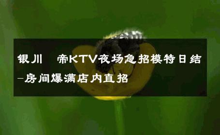 银川愷帝KTV夜场急招模特日结-房间爆满店内直招 