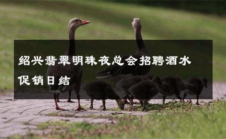 绍兴翡翠明珠夜总会招聘酒水促销日结 