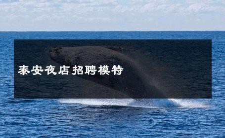 泰安夜店招聘模特 