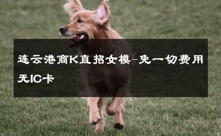 连云港商K直招女模-免一切费用无IC卡 