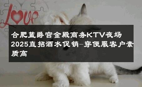 合肥蓝爵宫金殿商务KTV夜场　2025直招酒水促销-穿便服客户素质高 