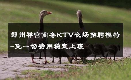 郑州祥宫商务KTV夜场招聘模特-免一切费用稳定上班 