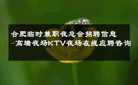 合肥临时兼职夜总会招聘信息-高端夜场KTV夜场在线应聘咨询 