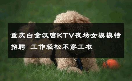 重庆白金汉宫KTV夜场女模模特招聘-工作轻松不穿工衣 