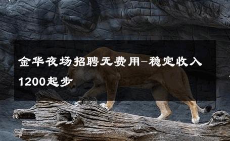 金华夜场招聘无费用-稳定收入1200起步 