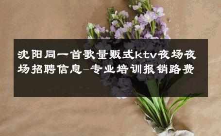 沈阳同一首歌量贩式ktv夜场夜场招聘信息-专业培训报销路费 
