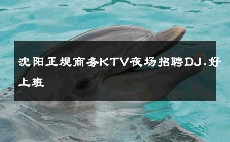 沈阳正规商务KTV夜场招聘DJ.好上班 