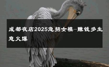 成都夜店2025急招女模-赚钱多生意火爆 