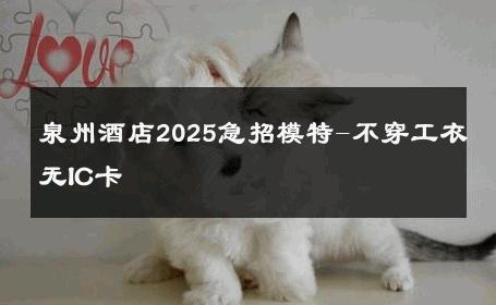 泉州酒店2025急招模特-不穿工衣无IC卡 