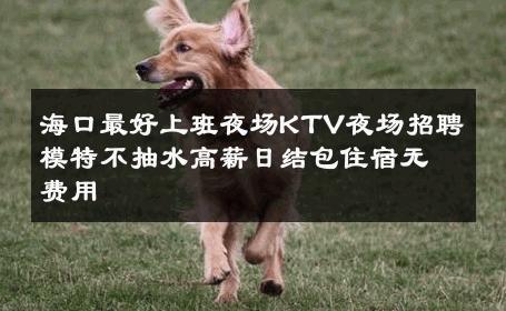 海口最好上班夜场KTV夜场招聘模特不抽水高薪日结包住宿无费用 