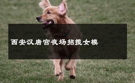 西安汉唐宫夜场招揽女模 