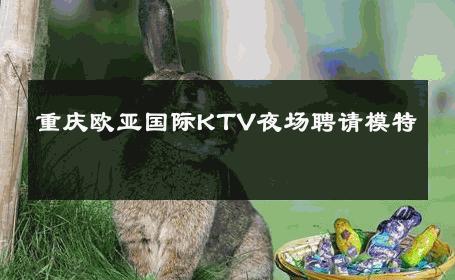重庆欧亚国际KTV夜场聘请模特 
