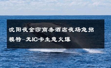 沈阳夜金莎商务酒店夜场急招模特-无IC卡生意火爆 
