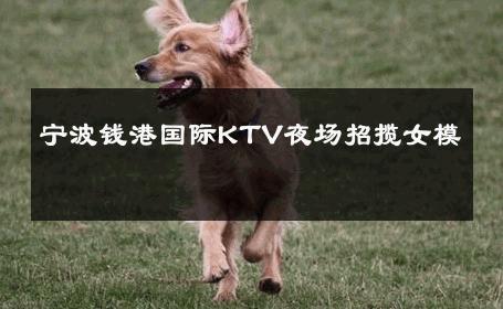宁波钱港国际KTV夜场招揽女模 