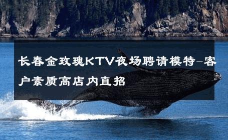 长春金玫瑰KTV夜场聘请模特-客户素质高店内直招 
