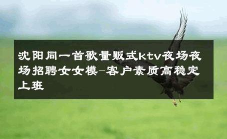 沈阳同一首歌量贩式ktv夜场夜场招聘女女模-客户素质高稳定上班 