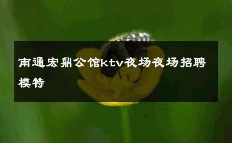 南通宏鼎公馆ktv夜场夜场招聘模特 