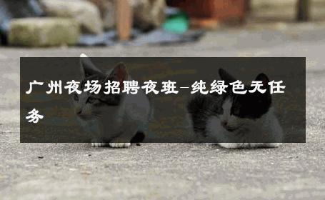 广州夜场招聘夜班-纯绿色无任务 