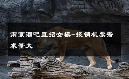 南京酒吧直招女模-报销机票需求量大 