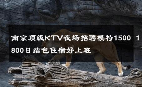 南京顶级KTV夜场招聘模特1500-1800日结包住宿好上班 