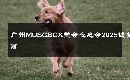 广州MUSCBCX堂会夜总会2025诚招佳丽 