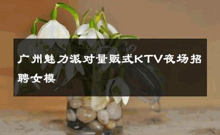 广州魅力派对量贩式KTV夜场招聘女模 