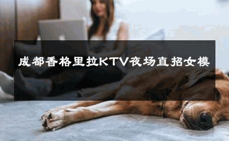 成都香格里拉KTV夜场直招女模 