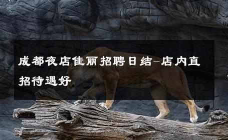 成都夜店佳丽招聘日结-店内直招待遇好 
