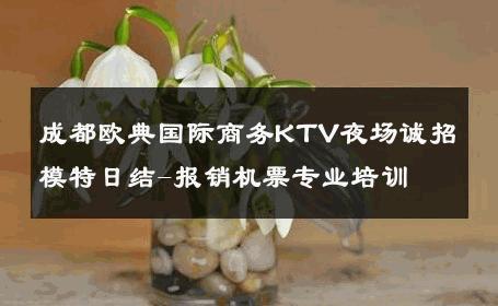 成都欧典国际商务KTV夜场诚招模特日结-报销机票专业培训 