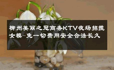 柳州美丽之冠商务KTV夜场招揽女模-免一切费用安全合法长久 